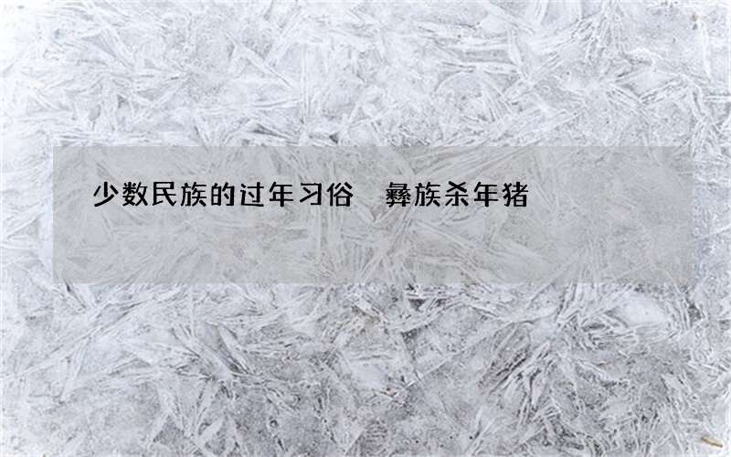 少数民族的过年习俗 彝族杀年猪